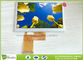 4.3 Inch Industrial LCD Panel Resolution 480*272 LCD Display for POS and Home Appliance