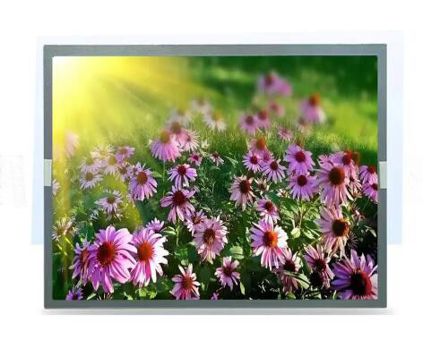 Industrial Grade 15in TFT Color LCD Display 600:1 LCD Touch Screen Panel ODM