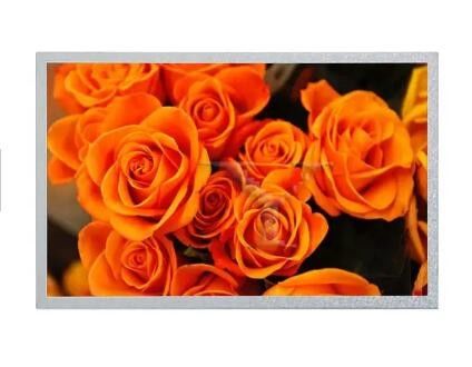 Ej101ia-01g 1280*800 Tablet LCD Screen Display 10.1in Suitable Industrial Display