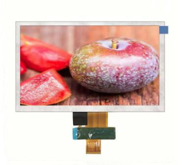 8 Inch LCD Panel TFT Color LCD Display Zj080na-08a Tv080wxm-Ns0 G080y1-T01